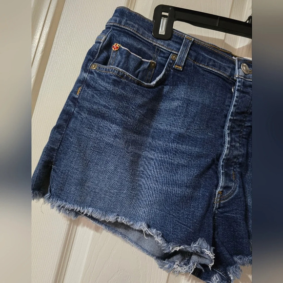 Hudson Tori Selvage Slouch Denim Cut-Off Micro Shorts in Illi, High Rise, EUC! - Picture 3 of 12